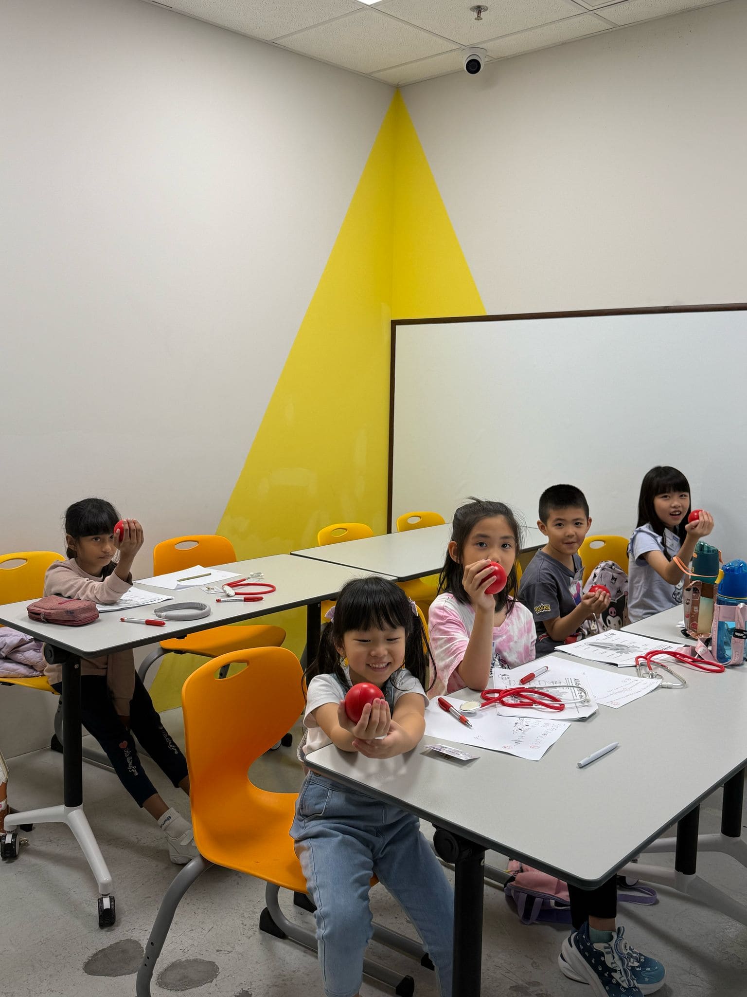 WhatsApp Image 2025-03-17 at 1.01.54 PM-2