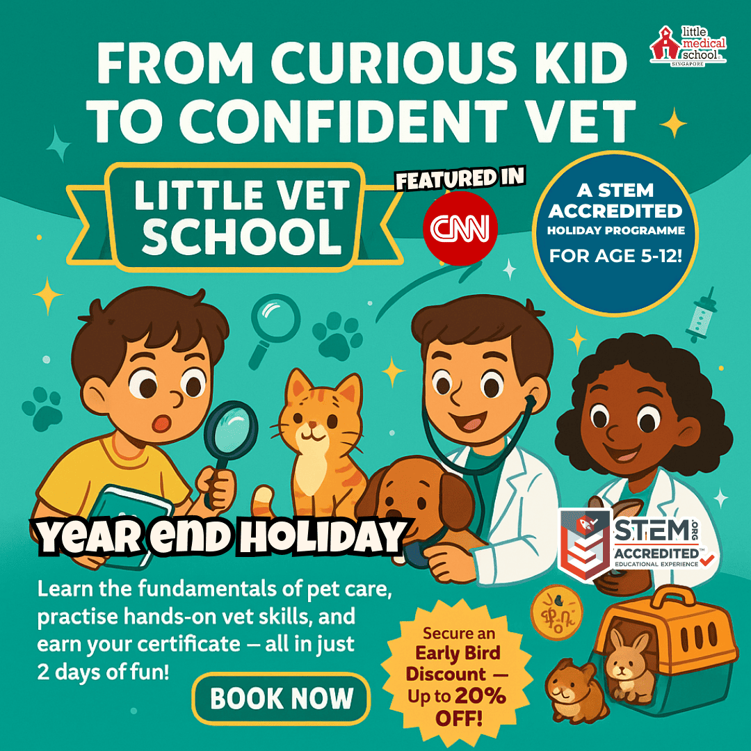 Little Vet School programme image