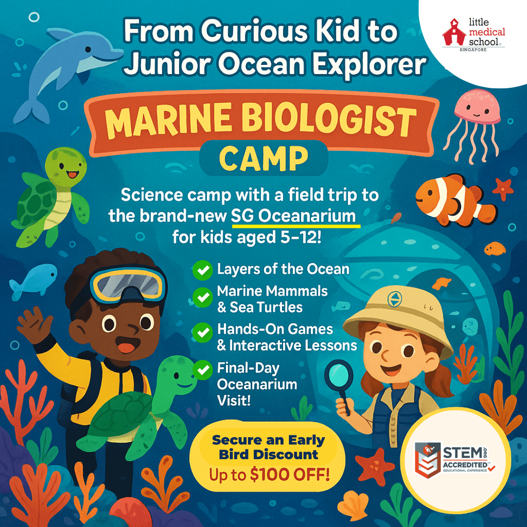 STEM hands-on learning at Little Skoolz Marine Biologist Camp