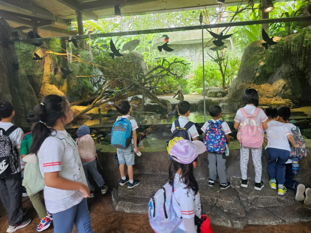 WhatsApp-Image-2025-06-07-at-19.20.45