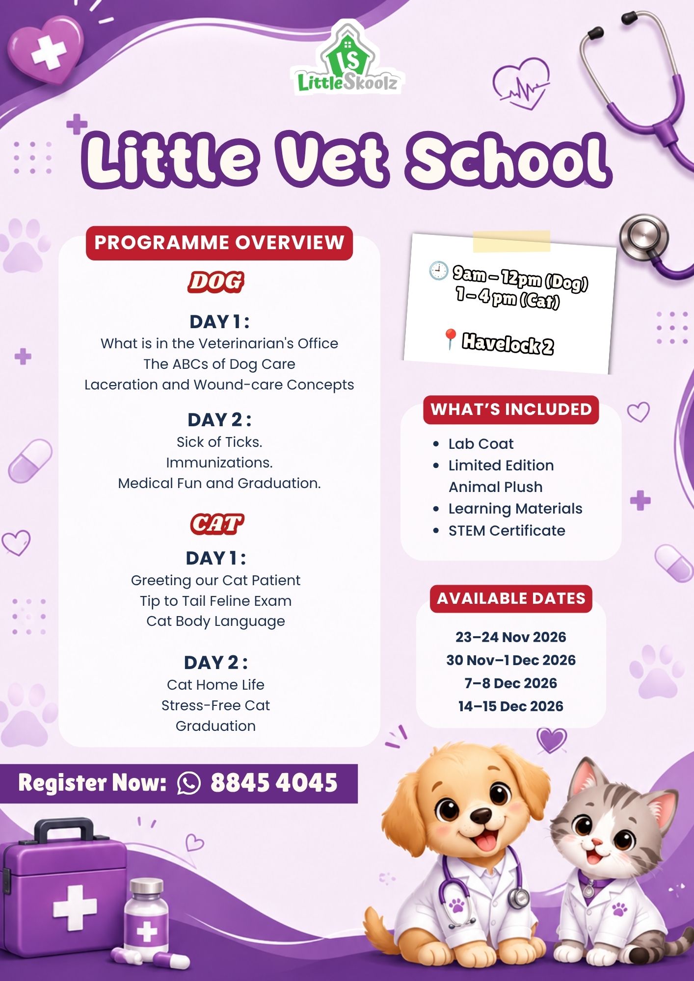 Little Vet School 2 Half Day Year-End programme overview